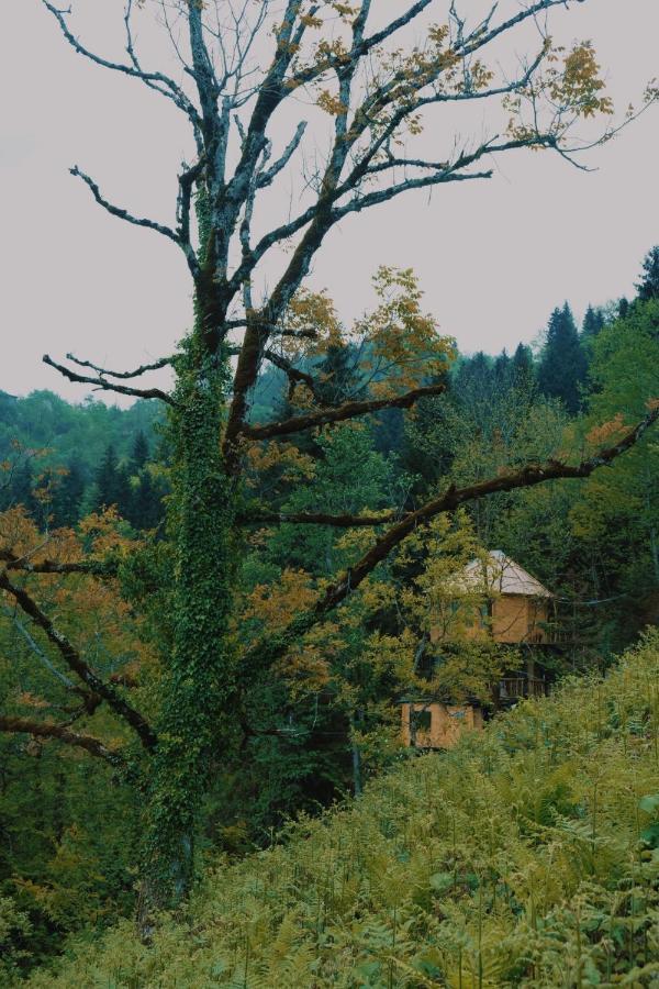 Hill Inn K'eda Екстериор снимка